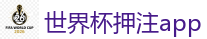2026世界杯买球官方网站